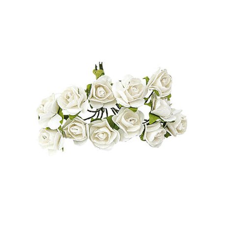 White Paper Roses