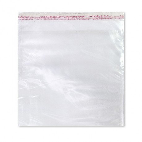 Transparent Gift Bags
